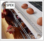 Hot Seal Customized Polypropylene Woven Chicken Egg Collection Conveyor Belt  For Farm