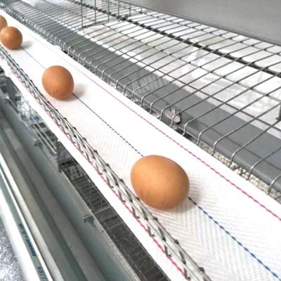 satın al Annilte Tavuk çiftliğinde sıcak satış yumurta toplama bandı online manufacture