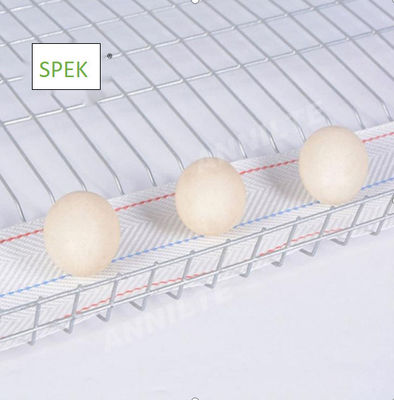 satın al Tavuk çiftliği yumurta toplama sistemi için UV ve yaşlanma karşıtı yumurta taşıyıcı kemeri online manufacture