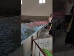 Meyve temizleme ve seçme makinesi