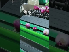 Meyve temizleme ve seçme makinesi