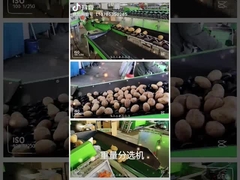 meyve yıkama ve ayırma makinesi