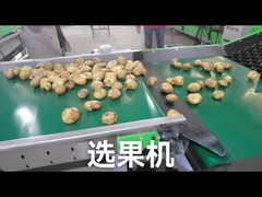 Meyve Sebze Sınıflandırıcısını Özelleştirin