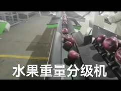 Otomatik elektronik meyve ayırıcı ve tartı makinesi