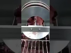 PU balık kılçığı ayırma bandı, kemik çıkarma ayırma bandı, konveyör bandı