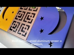 Modern mimari projeler için özel eşsiz oyma alüminyum kaplama